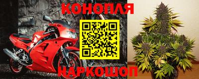 трава Пугачёв
