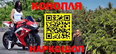 трава Пугачёв