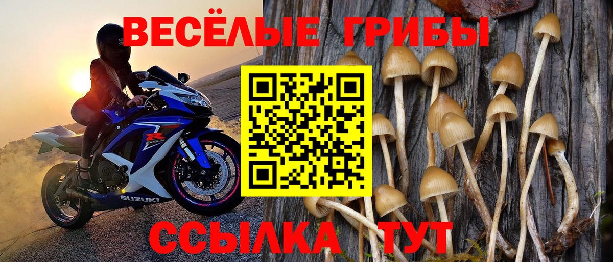 Галлюциногенные грибы MAGIC MUSHROOMS  Вход с VPN  Саянск 